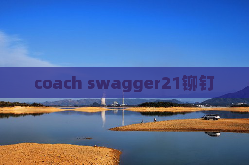 coach swagger21铆钉